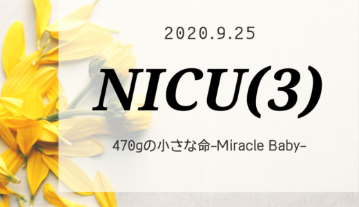 【入院記録】NICU編（3）