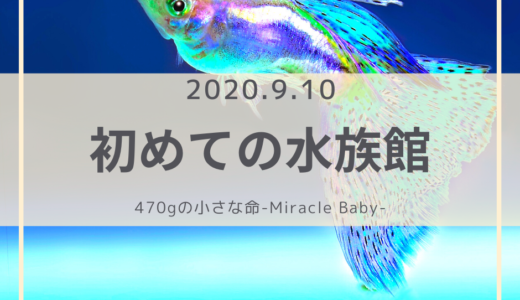 子ども二人連れて初めてのお出かけ【水族館】