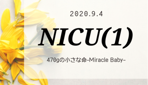 【入院記録】NICU編（１）